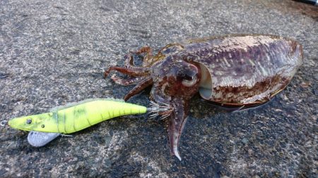 やっぱなんか渋いw